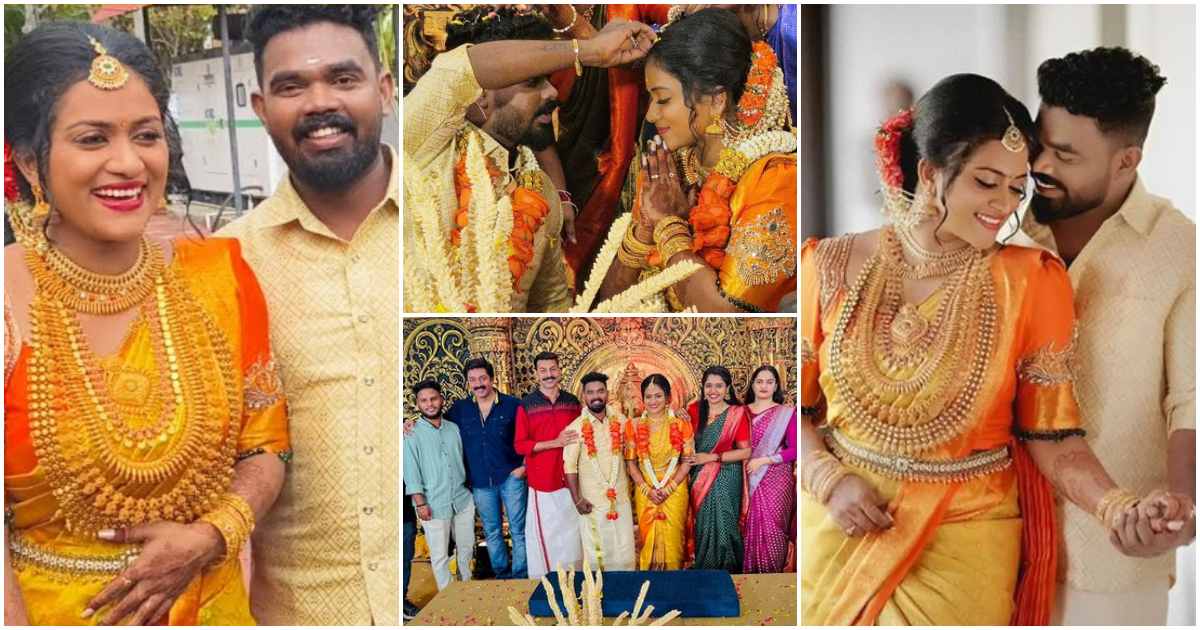 Serial Actress Dream Catcher Arya Anil Marriage Video