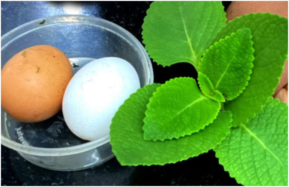 Home Remedies For Knee Pain (2)