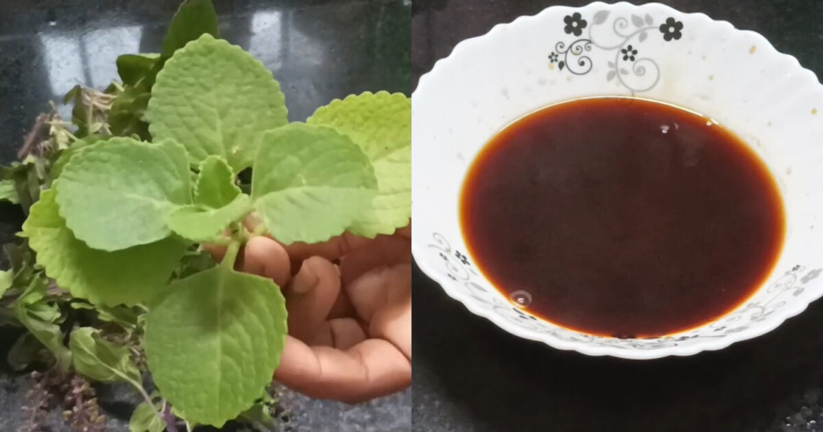 Natural-Hair-Dye-Spray