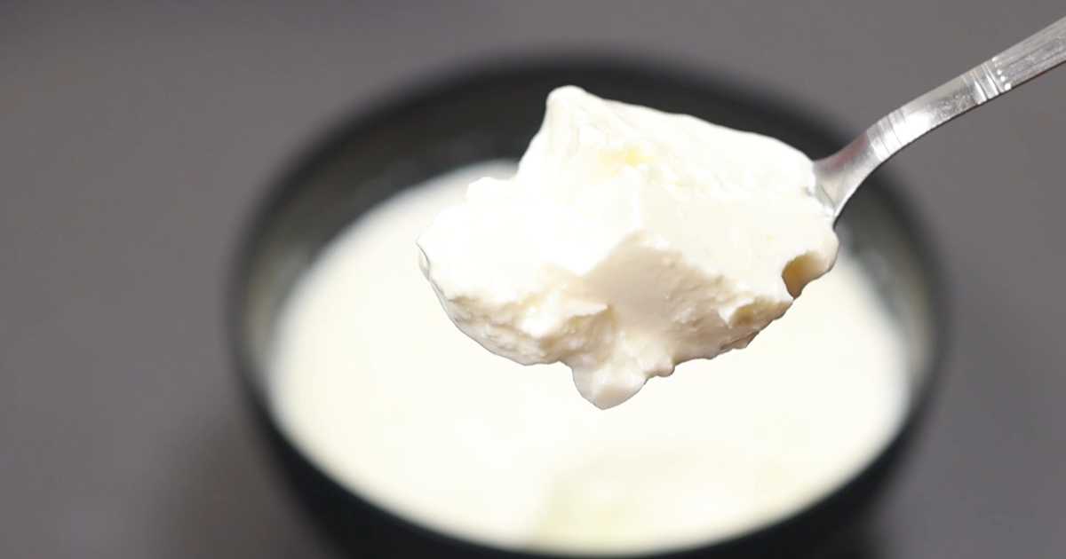 Homemade-Thick-Curd