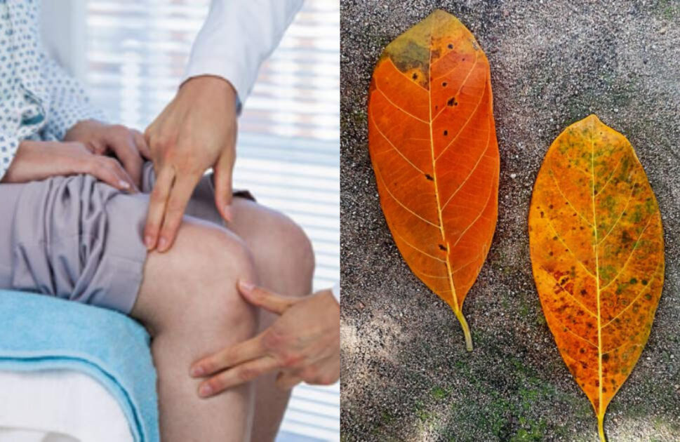 Muttu-Vedhana-Maran-Plavila-Tip