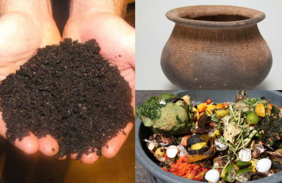 Converting Kitchen Waste To Compost