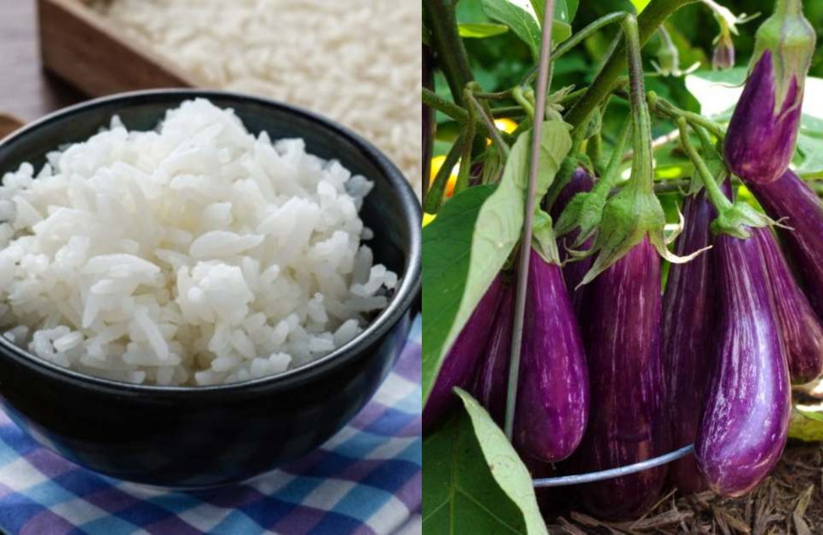 Easy Vazhuthana Krishi Tips