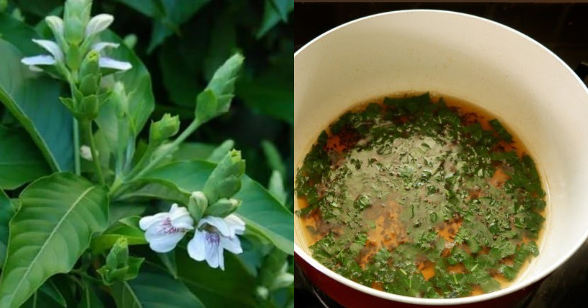 Home Made Cough Remedy Tip