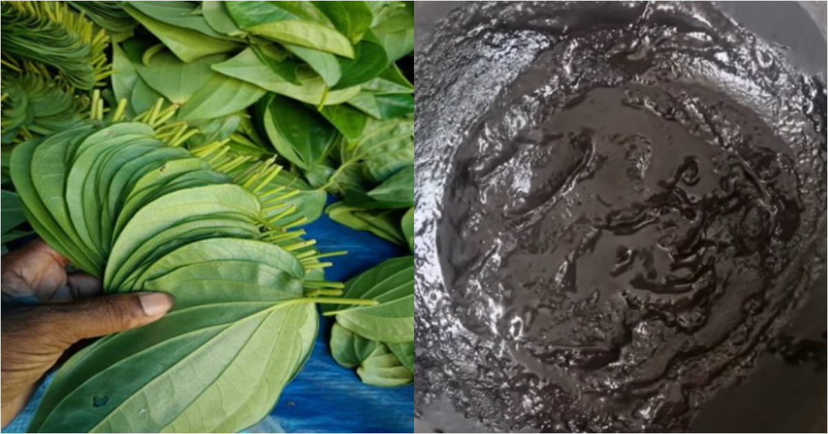 Home Made Hair Darken Tip