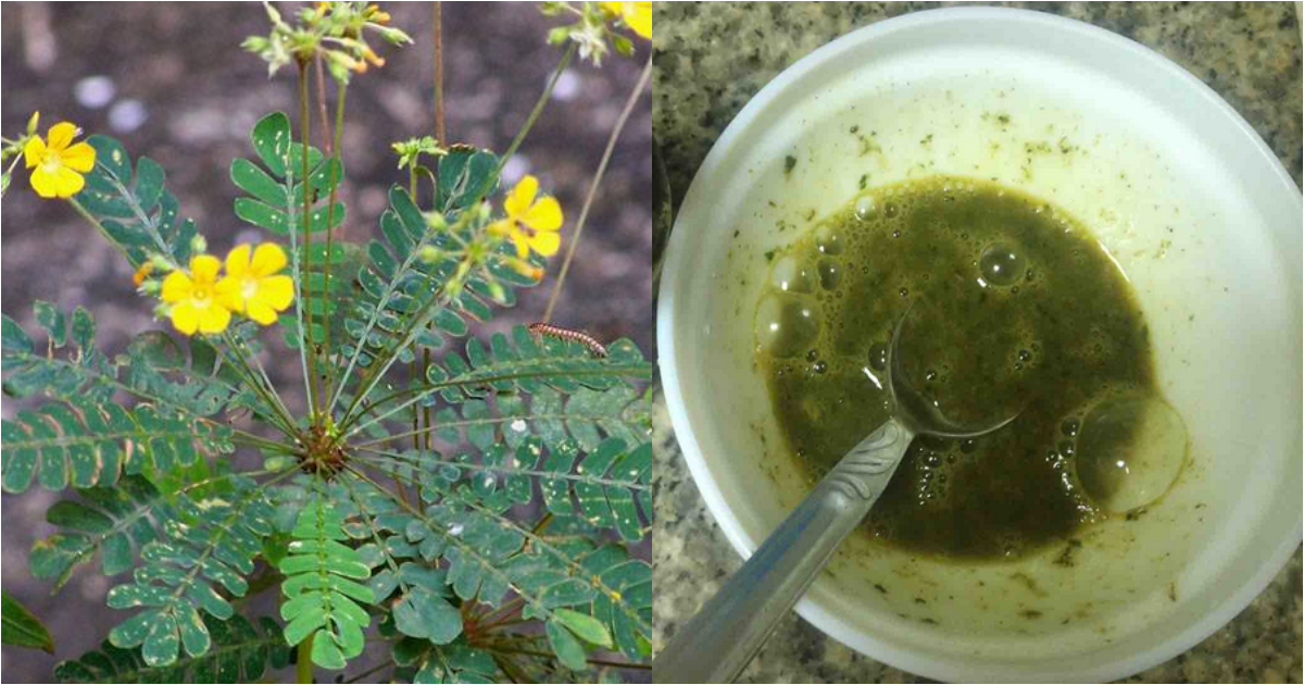 Mukutti Plant Benefits