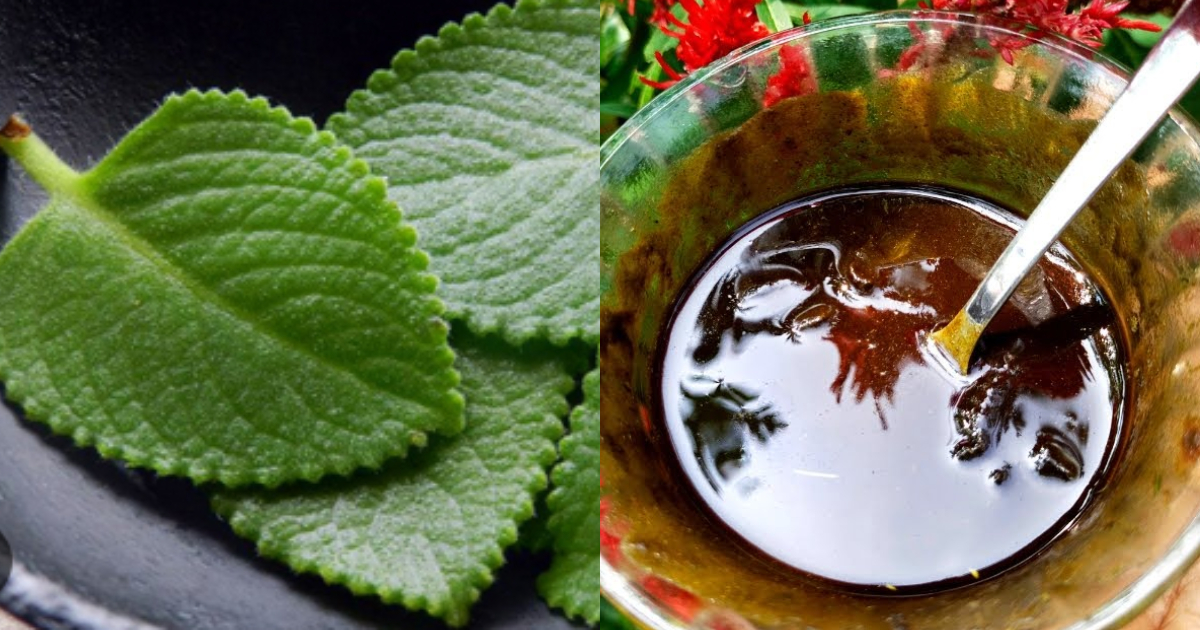 Homemade Natural Dye For Grey Hair Tip