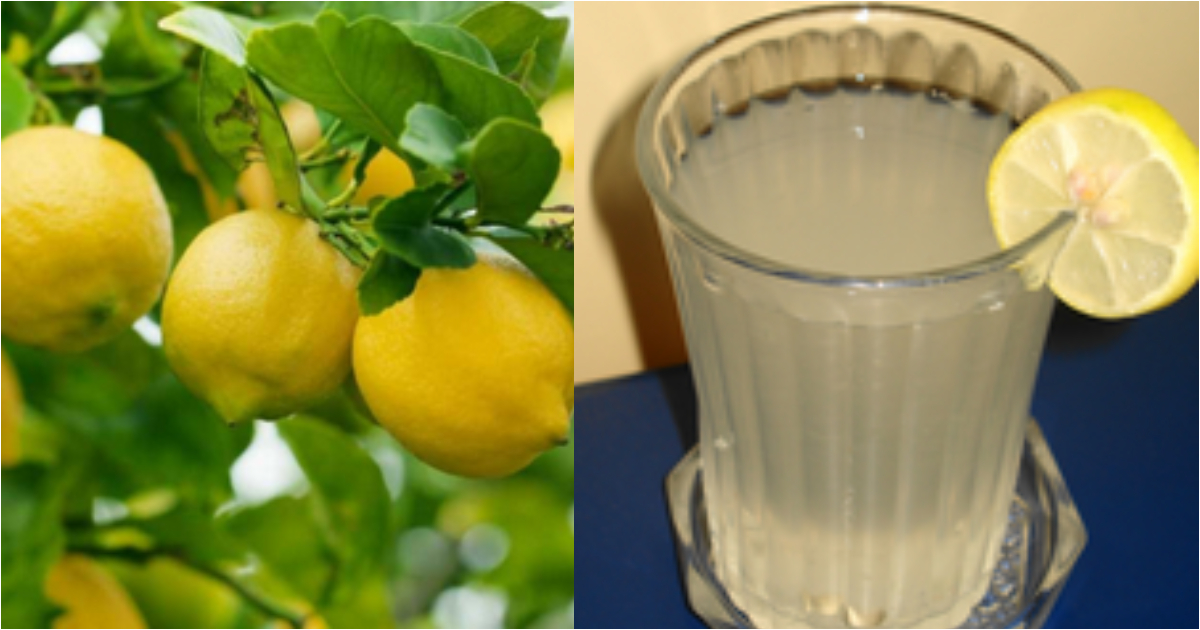 lemon water