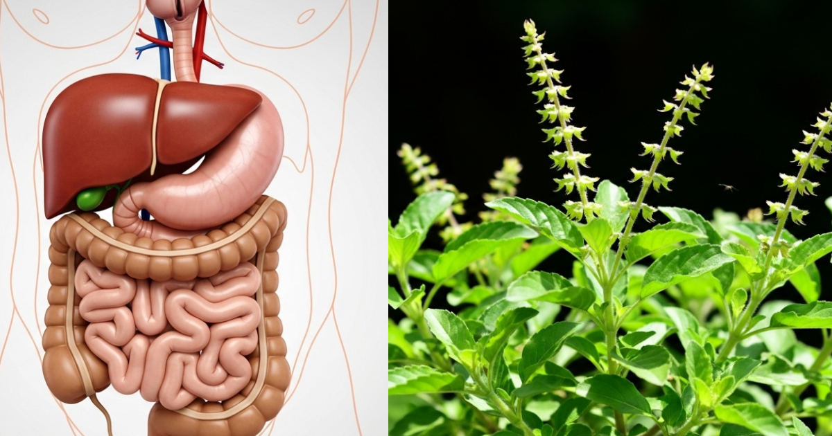 Remove stool retention from the digestive system